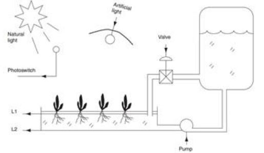 1915_hydroponics system.JPG